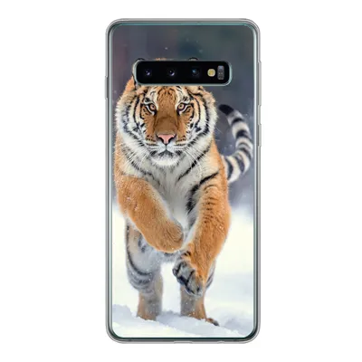 Produktbild von MuchoWow® Handyhülle Schutzhülle Hülle für Samsung Galaxy S10 Tiger - Landschaft - Schnee - Tiere Silikon Softcase Handy Hülle - Handytasche