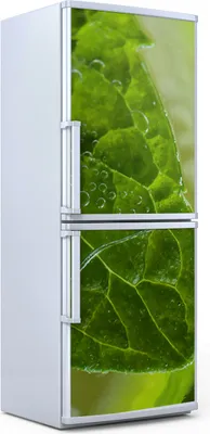 Produktbild von Kühlschrankdekoration 70x180 cm Aufkleber auf dem Kühlschrank - Farbige Früchte