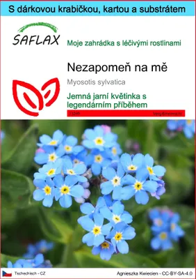 Obrázek produktu pro SAFLAX Dárková sada - Nezapomeň na mě - Myosotis sylvatica - 150 Semena - S dárkovou krabičkou, přepravním štítkem, dárkovou kartou a pěstebním médiem