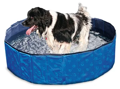 Produktbild von Karlie Doggy Pool blau - 160x160x30 cm