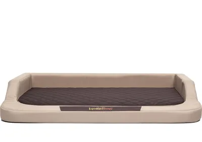 A dog bed on a white background.