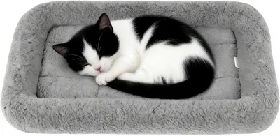 Produktbild von Katzenbett – weich und flauschig mit erhöhtem Rand und rutschfester Unterseite – für Katzen und Kaninchen – grau – 38 x 26 cm