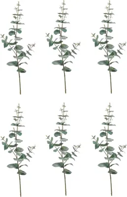 Produktbild von 6er Set künstliche Eucalyptus Blätterzweige H. 68cm grün Emerald Kunstblumen