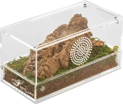 Produktbild von Repti-Zoo Einfach zu reinigendes Acrylterrarium - Acrylterrarium 20x10x10cm Repti-Zoo