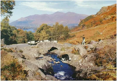 Produktbild von House of Puzzles Puzzle Thirsty Work 1000 Teile Erwachsene Landschaft