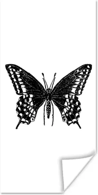 Produktbild von MuchoWow® Poster Schmetterling - Tiere - Retro - Schwarz und weiß 20x40 cm - Plakat - Foto