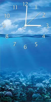 Produktbild von Wallario Design Wanduhr bedruckt, Größe 30 x 60 cm, Motiv: Unterwasserwelt Meer