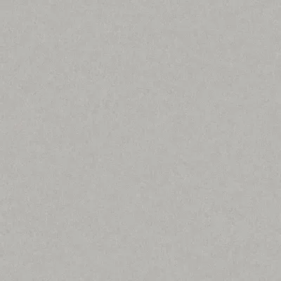 Obrázok produktu pre Borastapeter Tapeta obyčajná sivá - 660098 - 53 cm x 11,2 m
