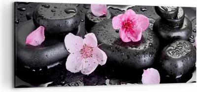 Produktbild von Bild auf Leinwand - Leinwandbild - Blumen Steine Tropfen Spa - 120x50cm - Wand Bild - Wanddeko - Leinwanddruck - Bilder - Kunstdruck - Wanddekoration - Leinwand bilder - Wandkunst - AB120x50-2714