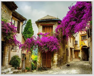Produktbild von Wallario Wandbild Malerische Stadt in der Provence mit bunten Blumen, Größe: 40,30 x 50,30 cm, Poster mit weißem Aluminiumrahmen