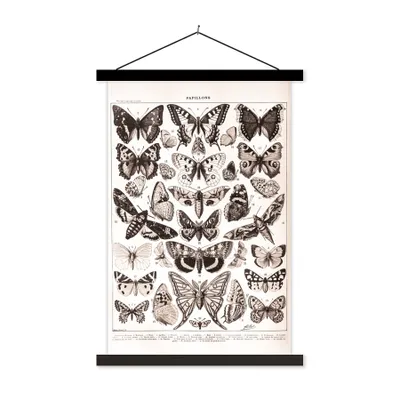 Produktbild von MuchoWow® Textilposter Tiere - Schmetterling - Schwarz - Weiß 60x90 cm mit schwarzem Rahmen - Poster Wohnzimmer