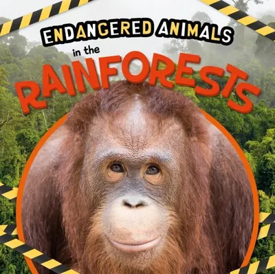 Produktbild von In the Rainforests