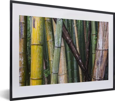 Produktbild von MuchoWow® MuchoWow® Gerahmtes Poster Viele Bambusarten im Arashiyama-Bambuswald in Japan 40x30 cm - Poster mit zchwarzem Bilderrahmen - Bilderrahmen - Poster im Rahmen