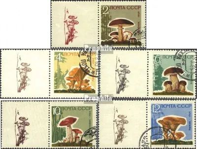 Produktbild von Briefmarken Sowjetunion 1964 Mi 2983y-2987y mit Zierfeld (kompl.Ausg.) gestempelt Pilze