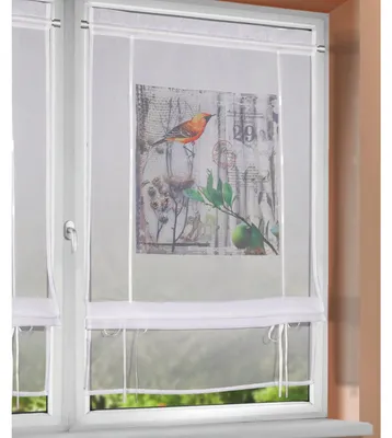 Produktbild von Raffrollo „Vogel“ - Bändchenrollo bunt von Albani - Größe (HxB) 120x60cm