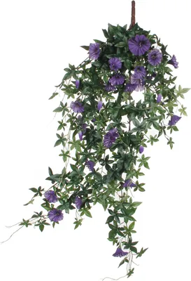 Produktbild von Mica Decorations Petunie Kunstpflanze hängend - L15 x B20 x H80 cm - Dunkelviolett