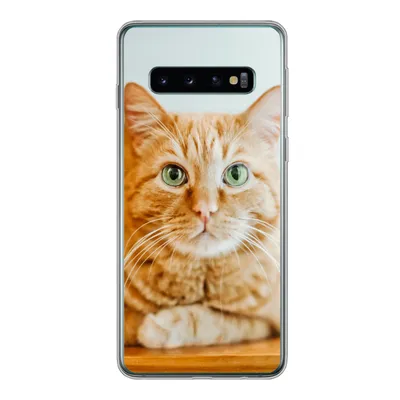 Produktbild von MuchoWow® Handyhülle Schutzhülle Hülle für Samsung Galaxy S10 Katze - Holz - Schrank Silikon Softcase Handy Hülle - Handytasche