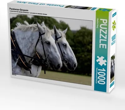 Produktbild von Calvendo Percheron-Gespann 1000 Teile Puzzle quer 640x480mm, Berg Martina; 7380552