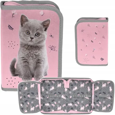 Produktbild von Paso Federmäppchen Katzen Motiv Mädchen Schule Grundschule