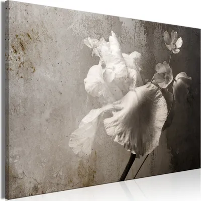 Produktbild von Vliesstoff Leinwandbild - Venetian Splendor (1 Part) Wide 120x80 cm Blumen b-C-0976-b-a
