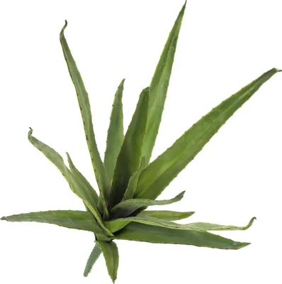 Produktbild von artplants.de Künstliche Aloe mit Steckstab, grün, 50cm - Outdoor - Künstliche Sukkulente - Kunstkaktus