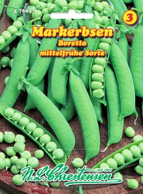 Produktbild von Markerbse Boretta | Markerbsensamen von N.L. Chrestensen