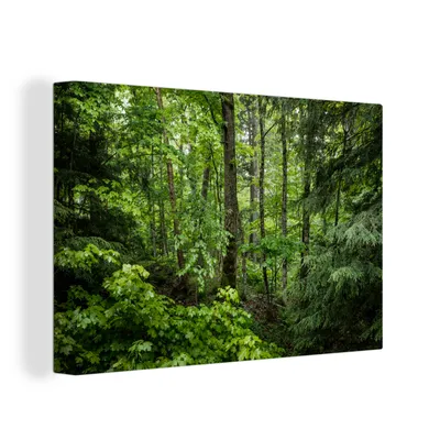 Zdjęcie produktu dla OneMillionCanvasses® - Obraz na płótnie - 150x100 cm, Las - Drzewo - Zielony, dekoracja ścienna z nadrukiem