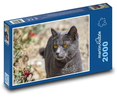 Zdjęcie produktu dla Puzzle 2000 Szary kot w ogrodzie - martinpuzzle