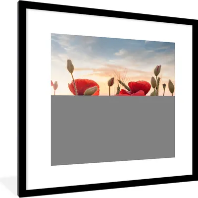 Produktbild von MuchoWow® Gerahmtes Poster Sonnenuntergang hinter den schönen Mohnblumen 40x40 cm - Poster mit Schwarzem Bilderrahmen Wandposter Rahmen Foto Bilder - Poster - Plakat im Rahmen