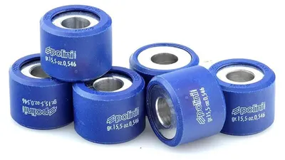 Obrázek produktu pro Variomatikgewichte Polini 23x18mm - 18,0g