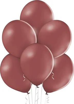 Image de Ballons de baudruche brun pastel, B105, 30 cm, 100 pièc.