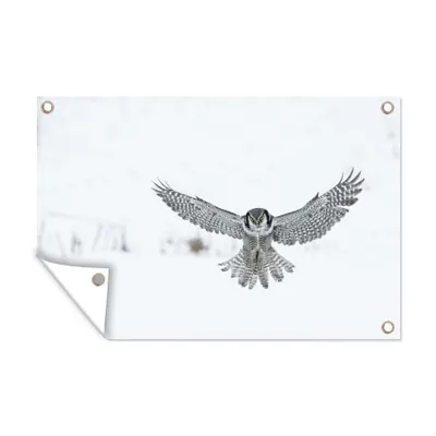 Obrázok produktu pre MuchoWow® Vonkajší plagát - Záhradná dekorácia ochrana súkromia - Záhradné plagáty pre záhradu - Lietajúca sova jastrab - 60x90x0.2cm