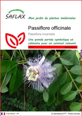 Image de SAFLAX  - Passiflore officinale - 5 graines - Passiflora