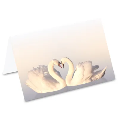 Image de PRICARO Cartes de table "Cygne Amour", 50 pièces