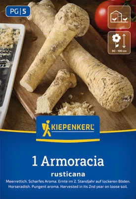 Produktbild von Kiepenkerl Meerrettich Armoracia rusticana 1 Pflanze