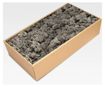 Produktbild von Anthrazitfarbenes Islandmoos, konserviert, verpackt in Karton mit ca. 500g | Moos für Bastelarbeiten und Dekoration | Selbstgemachtes Moosbild | Rentiermoos | Dekorationsmoos | Bastelmoos | Dekomoos