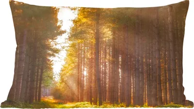 Produktbild von MuchoWow® Zierkissen Sofakissen Wohnzimmer Dekokissen 50x30 cm Baum - Gras - Sonne - Wohnzimmerdekoration - Polster mit Photo