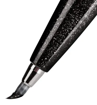 Image de Pentel Brush Pen Lettering Set 4 stylos + leçons de lettrage