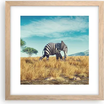 Produktbild von Gerahmtes Poster - Rahmen in heller Eiche - Surreal Elefant Rippen - 30x30 cm - Wand Bild - Wanddeko - Wandbilder - Kunstposter - Wandposter - Bilderrahmen - Bilder - Kunstdruck - P2NAC30x30-4717
