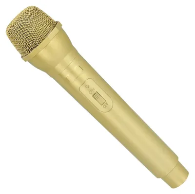 Image de Microphone karaoké jouet - Modèle deluxe - Pour enfants et adultes - Jouet