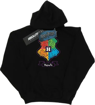 Image de Harry Potter - Sweat à capuche garçon BI7605 (140-146) (Noir)