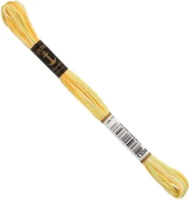 Obrázek produktu pro Anchor Stranded Bavlna Multicolor 1304 8 m Vyšívací příze