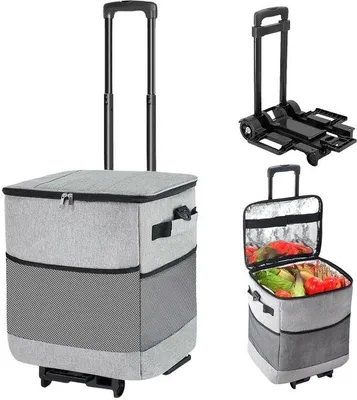 Immagine prodotto di Borsa termica isolata con coperchio ribaltabile da 40 litri per picnic e campeggio