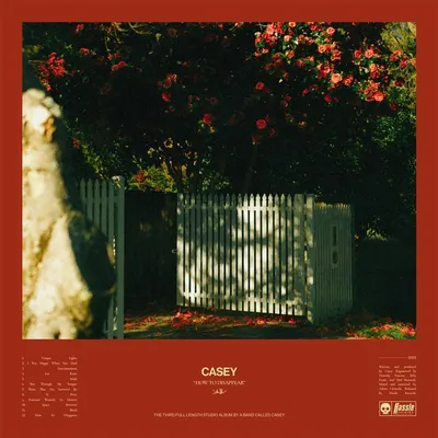 Produktbild von How to Disappear