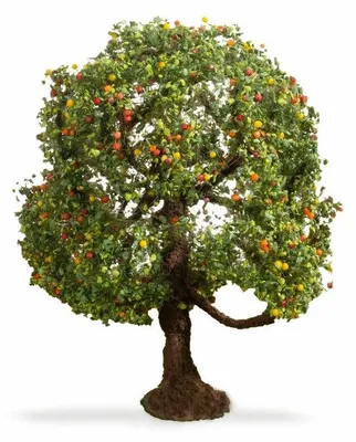Immagine prodotto di NOCH 20145, verde, 1 pezzo(i)