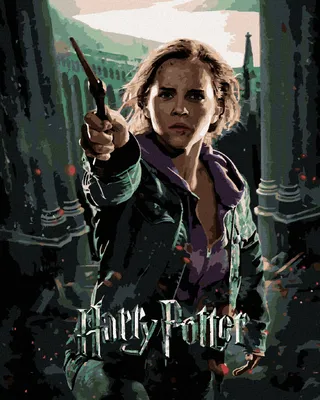 Obrázek produktu pro Zuty - Malování podle čísel - PLAKÁT HARRY POTTER A RELIKVIE SMRTI - HERMIONA, 40x50 cm, vypnuté plátno na rám