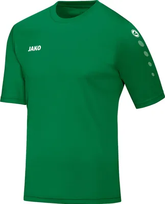 Obrázek produktu pro JAKO unisex dres Team KA - 4233, barva:sportgreen, velikost:S