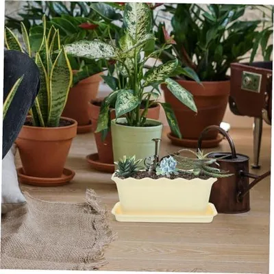 Immagine prodotto di Tovagliette rotonde in juta intrecciata con decorazione a pompon - Set da 4 - 38 cm