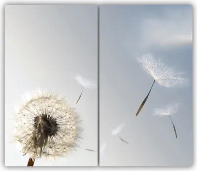 Produktbild von Tulup Glas-Herdabdeckplatte - 2x30x52cm - Glaskeramikkochfeld-Abdeckung Spritzschutz Zweiteilig Pusteblume