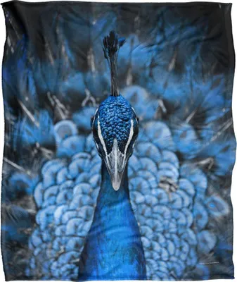 Obrázok produktu pre Reinders - Deka Peacock, hodvábna, supermäkká TV24611 (jedna veľkosť) (farebná)